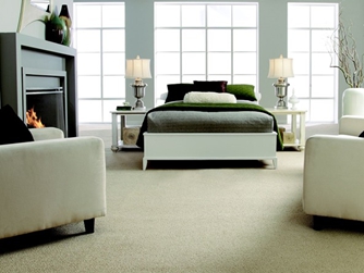 Carpet