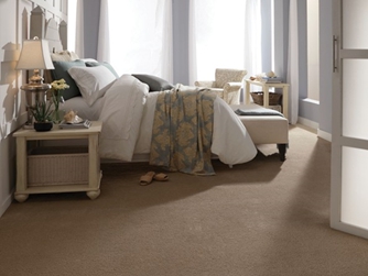 Carpet