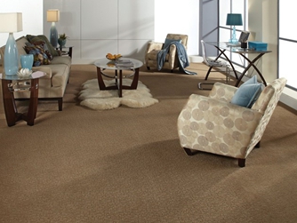 Carpet