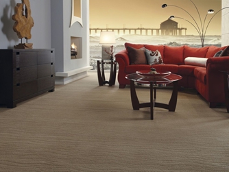 Carpet